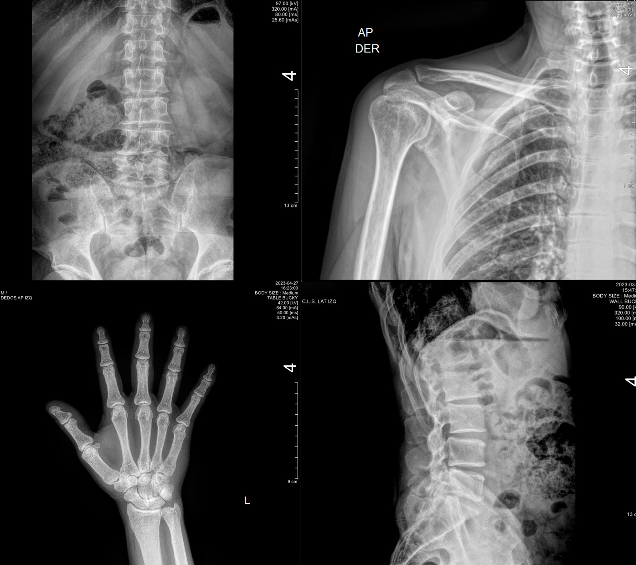 Photo of a study hall with wooden tables and chairs.